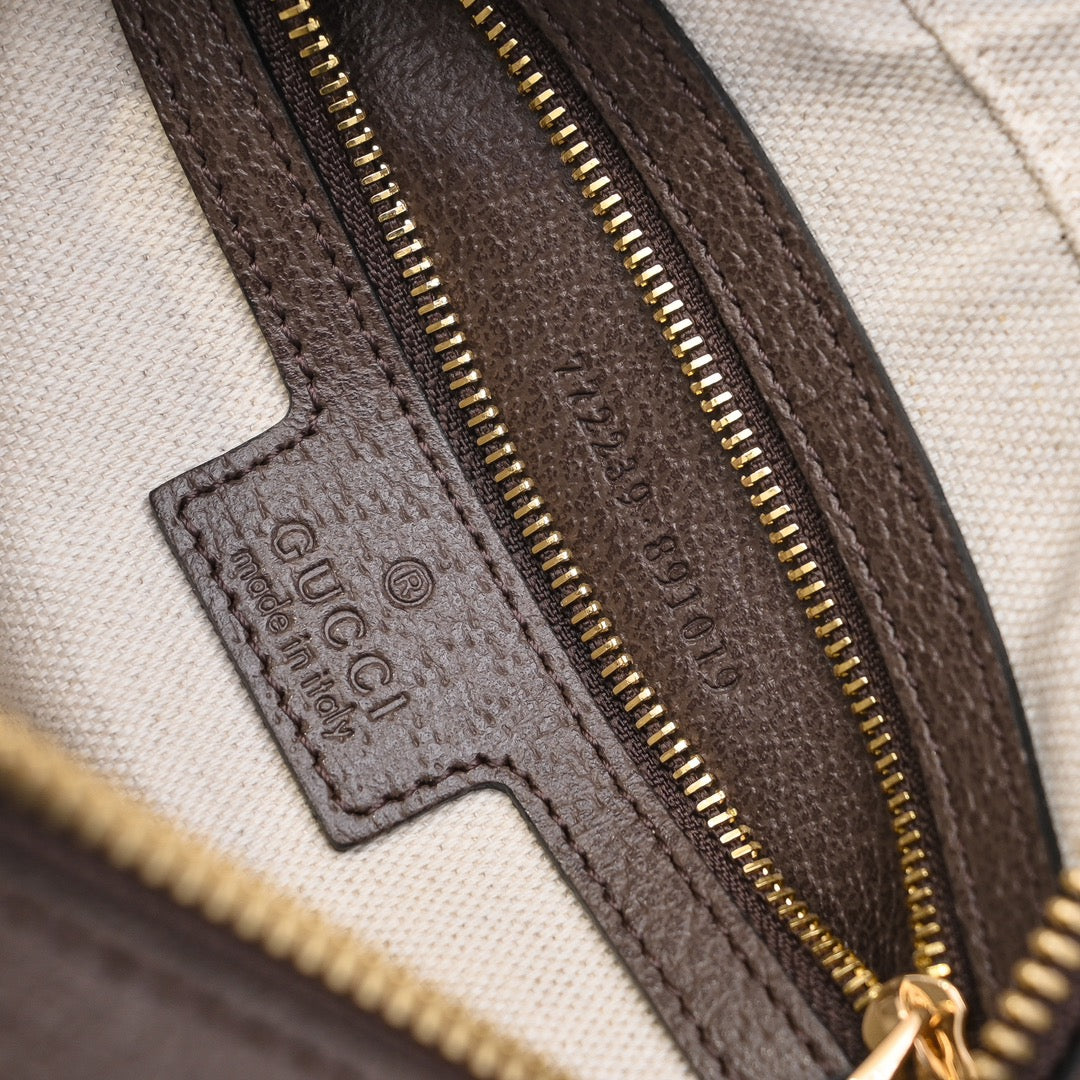 Gucci Ophidia Messenger Bag